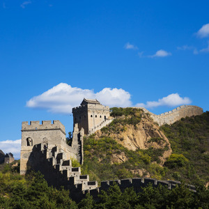 印度朱儒牲交肛交
