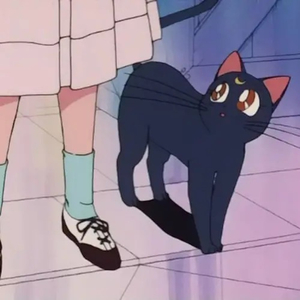 印度朱儒牲交肛交
