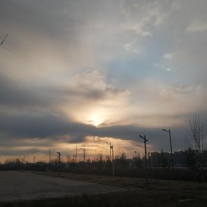 印度朱儒牲交肛交
